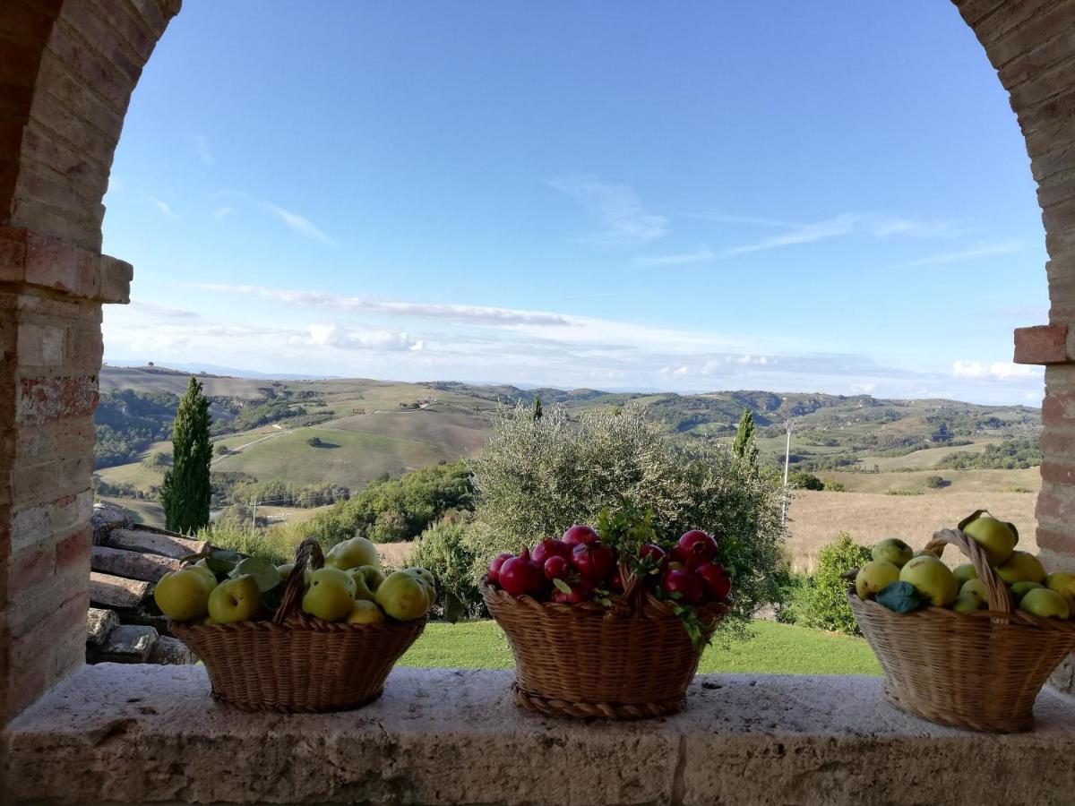 Agriturismo Monsole - Montalcino Extérieur photo